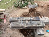 20250330_110256 (1024x768).jpg